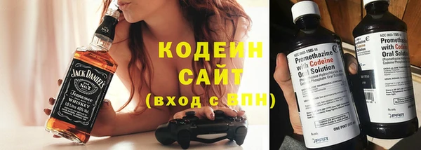 гашик Карпинск