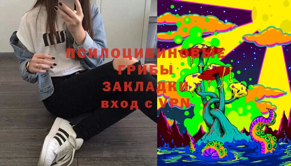 дживик Касимов