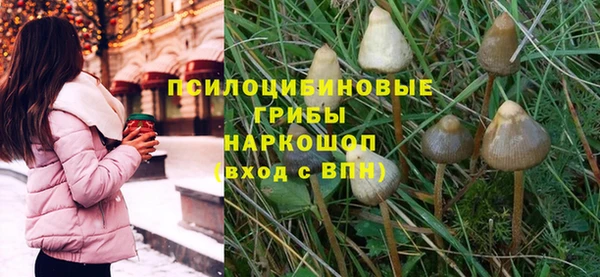 гашик Карпинск