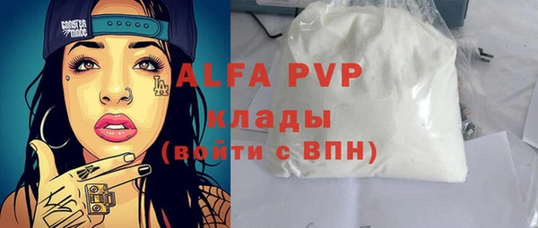гашик Карпинск