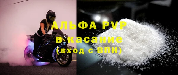 дживик Касимов