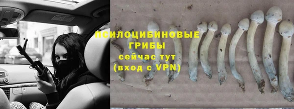 дживик Касимов