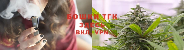 дживик Касимов