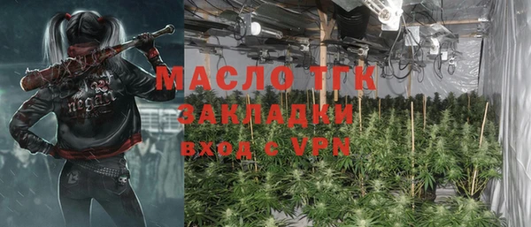 гашик Карпинск