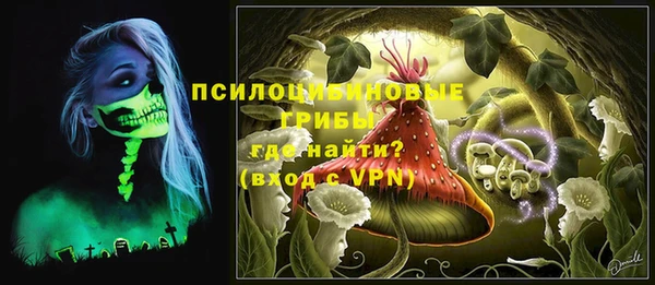 ПСИЛОЦИБИНОВЫЕ ГРИБЫ Карталы