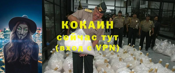 гашик Карпинск