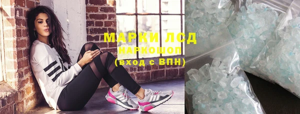 гашик Карпинск