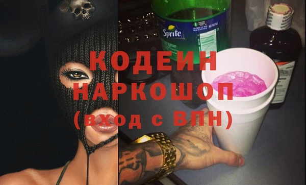 гашик Карпинск