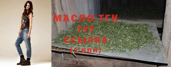 гашик Карпинск