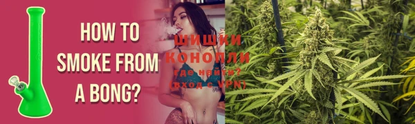 дживик Касимов