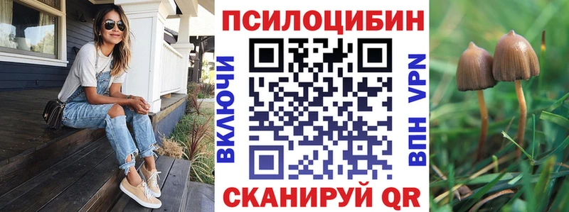 Псилоцибиновые грибы прущие грибы  Купить  Кизляр 